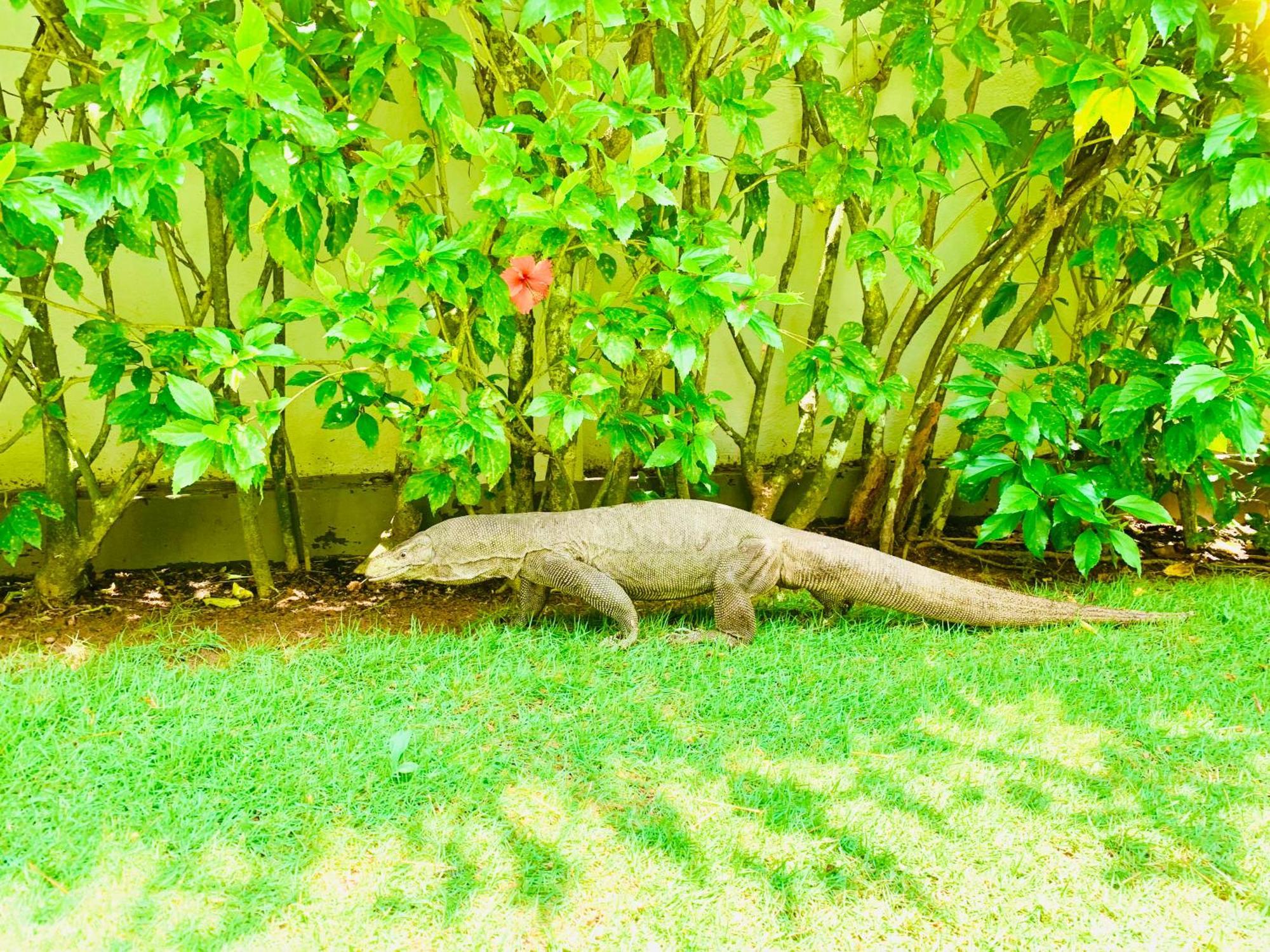 Lanka Hotel 4*